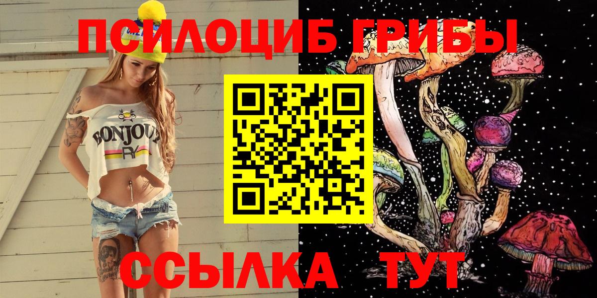 Псилоцибиновые грибы MAGIC MUSHROOMS Полевской