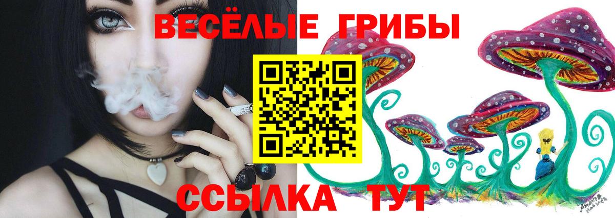 продажа наркотиков  Вход с VPN  Полевской  Псилоцибиновые грибы MAGIC MUSHROOMS 